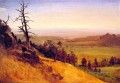 Newbraska Wasatch Berge Albert Bierstadt